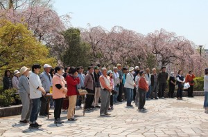 20130429_Hinokishin_day_Sendai