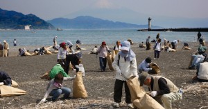 20130429_Hinokishin_day_Shizuoka17